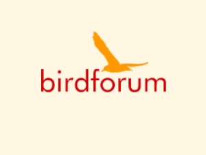 Bird Forum Shop