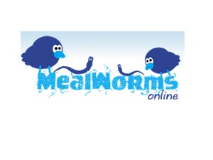 Mealworms Online