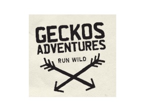 Geckos Adventures 