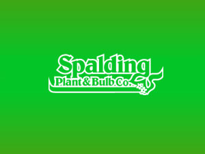 Spalding Plant & Bulb Company